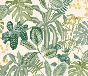 CASELIO_103897067_web