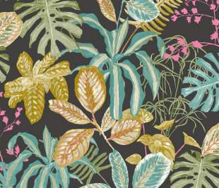 CASELIO_103897941_web