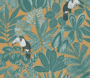 CASELIO_103922754_web