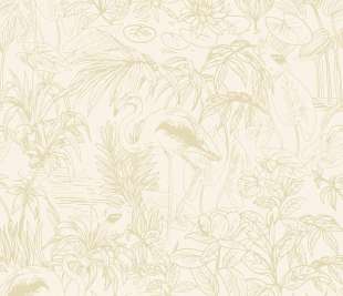 CASELIO_103930204_web