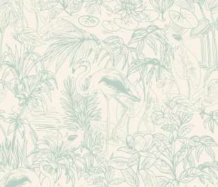 CASELIO_103930640_web