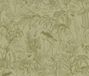 CASELIO_103937701_web