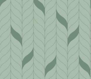 CASELIO_103977211_web