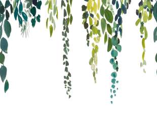 CASELIO_103997004_web