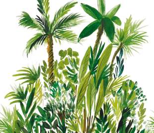 CASELIO_104007003_web