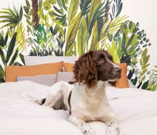 CASELIO_GCO_PANO_FIDJI-104007003_ZOOM_web