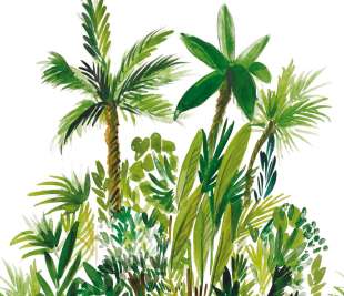 CASELIO_104007004_web