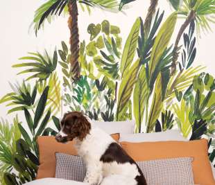 CASELIO_GCO_PANO_FIDJI-104007003_CHIEN_web