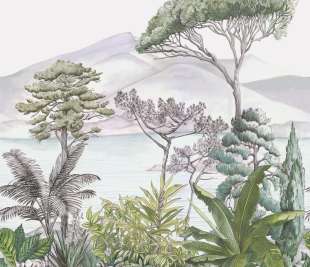 CASELIO_103987003_web