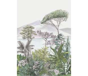 CASELIO_103987003_1_web