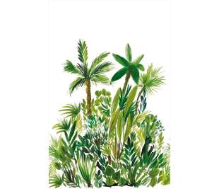 CASELIO_104007004_1_web