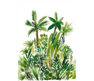 CASELIO_104007003_1_web