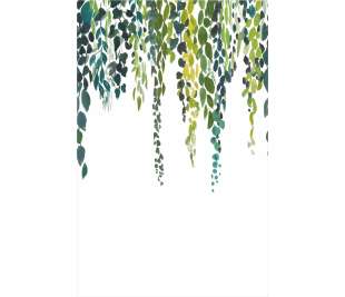 CASELIO_103997004_1_web