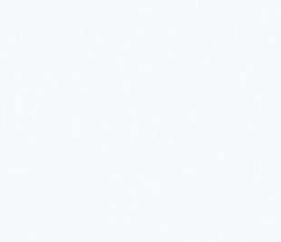 CASELIO_100601010_1_web