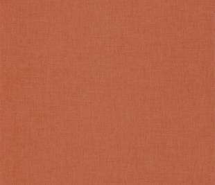 CASELIO_100604313_1_web