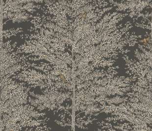 CASELIO_102979037_web