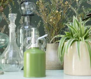 CASELIO_FRT_LITTLE-WOODS_KAKI_INSPI-102947719_web