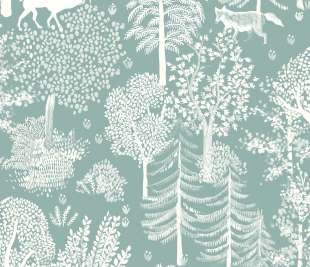 CASELIO_102936033_web