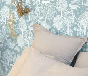 CASELIO_FRT_BALLAD_BLEU_ZOOM-102936033_web