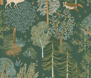 CASELIO_102937726_web