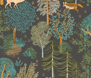 CASELIO_102937940_web