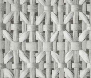 designtapete-black-cumin-wohnzimmer-pepper-seta-65339-closeup_800x800