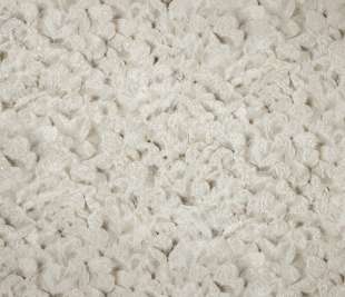 designtapete-pine-nut-wohnzimmer-salt-arco-65306-closeup_800x800