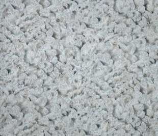 designtapete-poppy_seed-wohnzimmer-salt-arco-65305-closeup_800x800