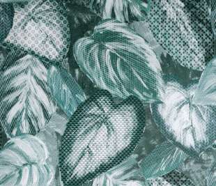 designtapete-spirulina-wohnzimmer-pepper-vita-81345-closeup_800x800