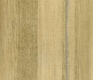 vliestapete-ochre-wohnzimmer-precious-chiffon-65194-closeup_800x800