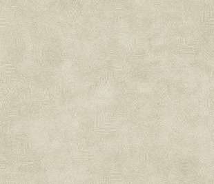 CASADECO_86421262_web