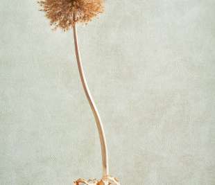 CASADECO_NICARAGUA-NICA-MASAYA-vert-d-eau-zoom-86427333_web