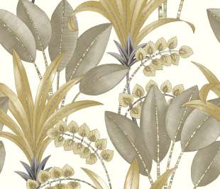 CASADECO_86417070_web