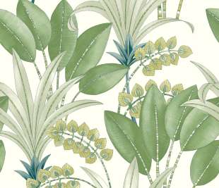 CASADECO_86417353_web