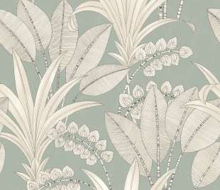 CASADECO_86417272_web