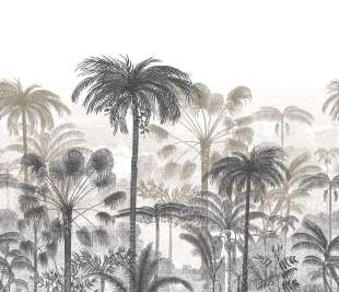 CASADECO_86461377_web