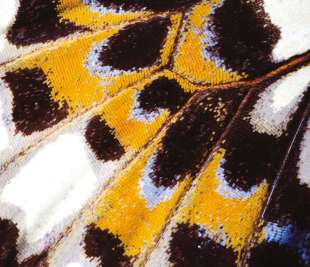 CASADECO_87313418_web