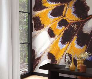 CASADECO_NICARAGUA-NICA-panoramique-MARIPOSA-M-87323418_web