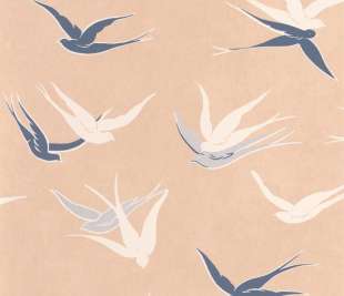 CASADECO_88634101_web