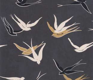 CASADECO_88639595_web