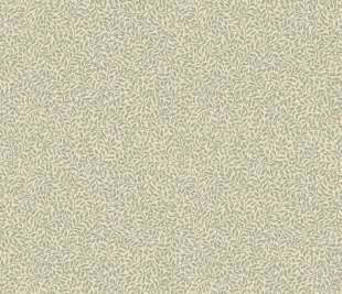 Copy-of-S10310_product_web