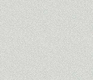 Copy-of-S10311_product_web