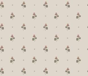 Copy-of-S10268_product_web