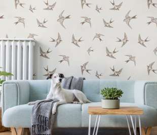 brown-swallow-wallpaper (2)