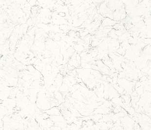 CASADECO_88080124_web