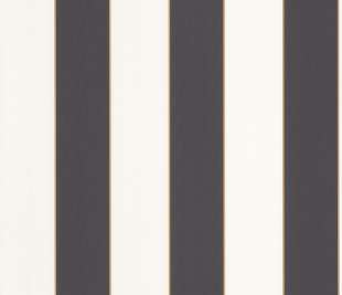 CASELIO_101072092_web