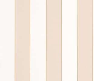 CASELIO_101070103_web