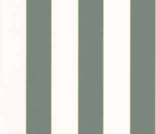 CASELIO_101077144_web