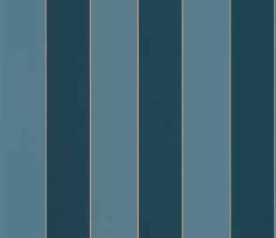 CASELIO_101076659_web