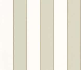 CASELIO_101077036_web